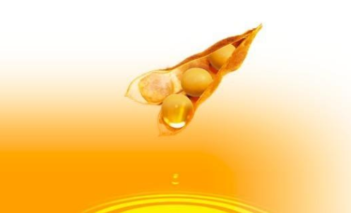豆油期貨波動(dòng)一個(gè)點(diǎn)多少錢？豆油期