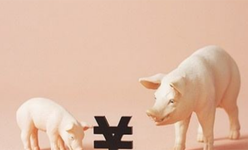 一手生豬期貨交易成本要多少錢？保