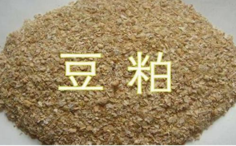 期貨豆粕和菜粕的關(guān)聯(lián)性，菜粕豆粕